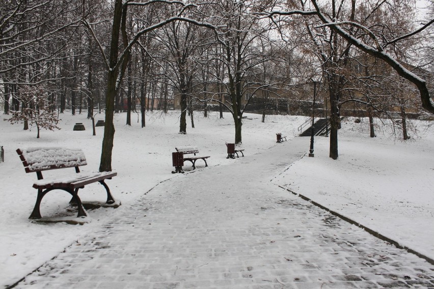 Jastrzębie: park przy ul. Żeromskiego doczeka się remontu ZDJĘCIA