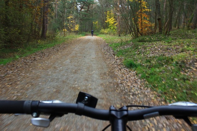 Żuławy i Mierzeja. Budowa ścieżek rowerowych w regionie