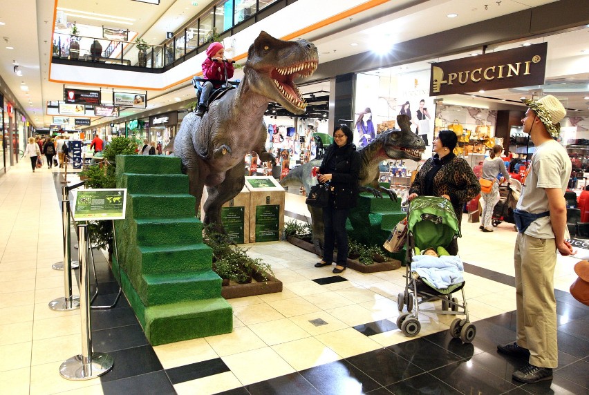 Tropem Dinozaurów w Szczecinie [program, zdjęcia]