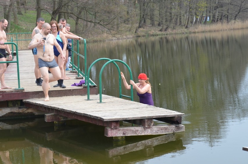 W sobotę nad jeziorem w Kłodawie gorzowskie morsy oficjalnie...