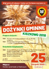 Dożynki w naszych gminach. Zobacz: co? gdzie? kiedy? [ZAPOWIEDZI]