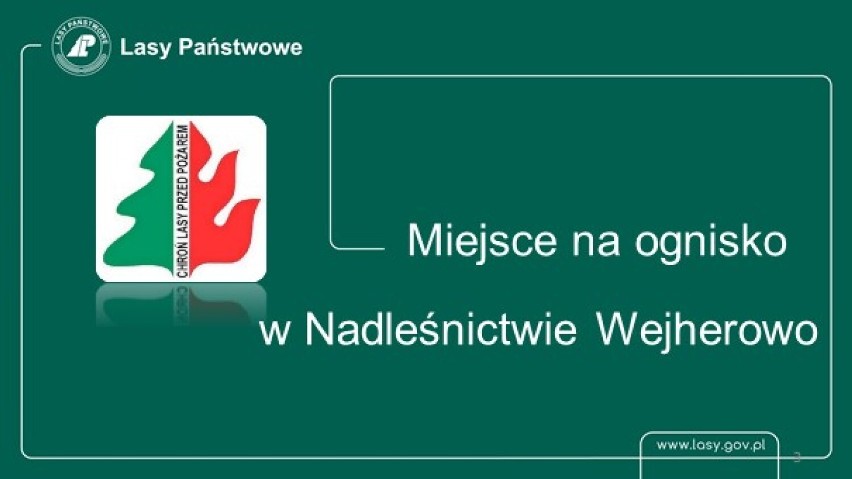 W leśnictwie Starzyno (ok. 26 km od Wejherowa) znajduje się...