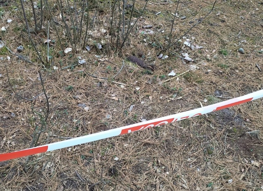 Niewybuch znaleziony został w lesie w Wojsławicach w gminie...