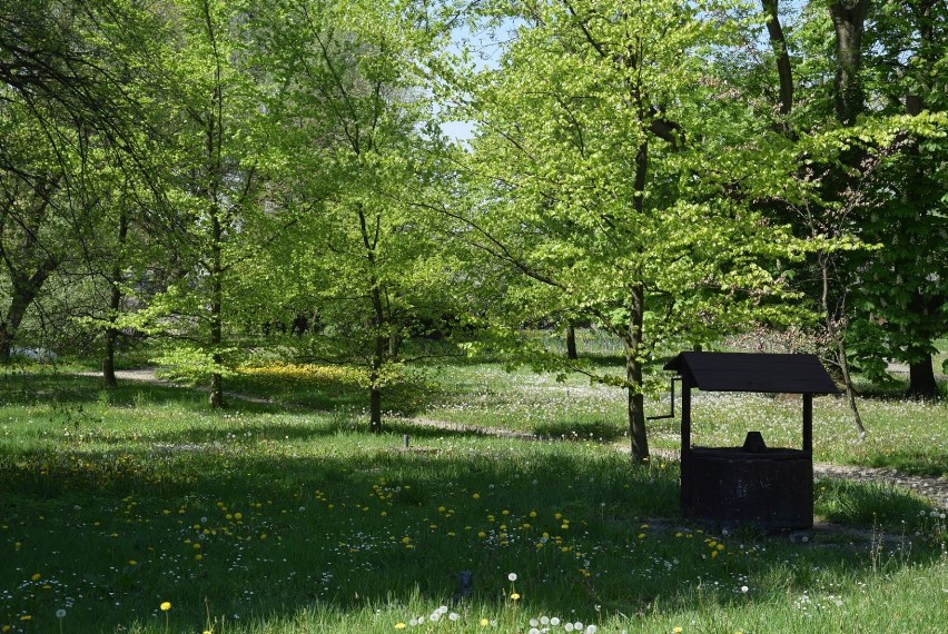 Odwiedź piękny park okalający dworek Marii Dąbrowskiej w...