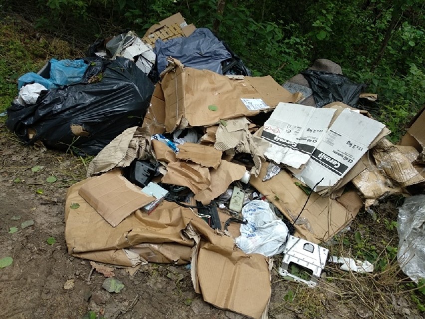 Dzikie wysypiska śmieci. Podpowiadamy jak reagować