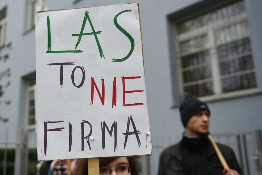 Poznań: Obrońcy przyrody protestowali przeciw żwirowni