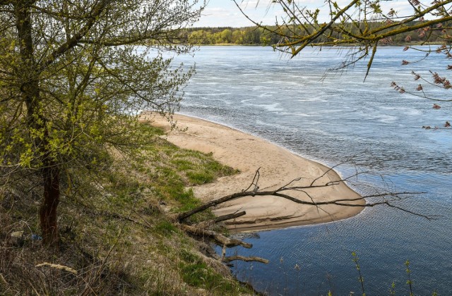 Zrzut wody w Wiśle sprzed dwóch lat podniósł jej poziom o ponad metr. Zniszczono lęgowiska ptaków. Jest akt oskarżenia