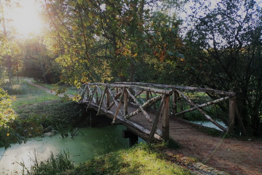 Gołuchów. Złota polska jesień zawitała do parku-arboretum