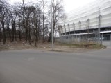 INEA Stadion - Bałagan w lasku przy Rumuńskiej [ZDJĘCIA]