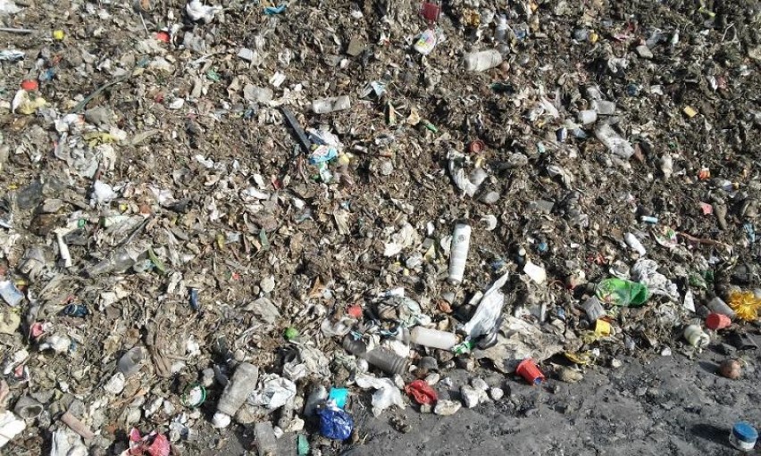 Śmieci wyrzucano pod hałdą na ulicy Podgórnej w Połomi