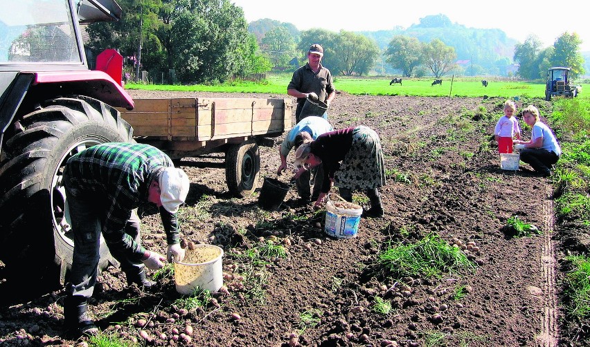 StrefaAgro rolników powiatu puckiego