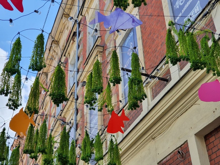 Kolorowe instalacje nad ulicami centrum Leszna 2022