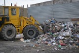 Urząd Miasta Malborka zamówił usługę odbioru śmieci od mieszkańców