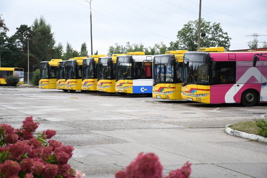 Takie autobusy MPK kursują po Włocławku. Zobaczcie zdjęcia...