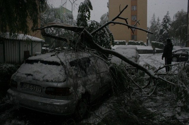 Gałęzie przygniotły samochody.