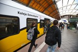 Rower w pociągu: Koleje Dolnośląskie szykują rewolucję. W lipcu 2022 ruszą pierwsze wagony rowerowe. Jaki będzie cennik?