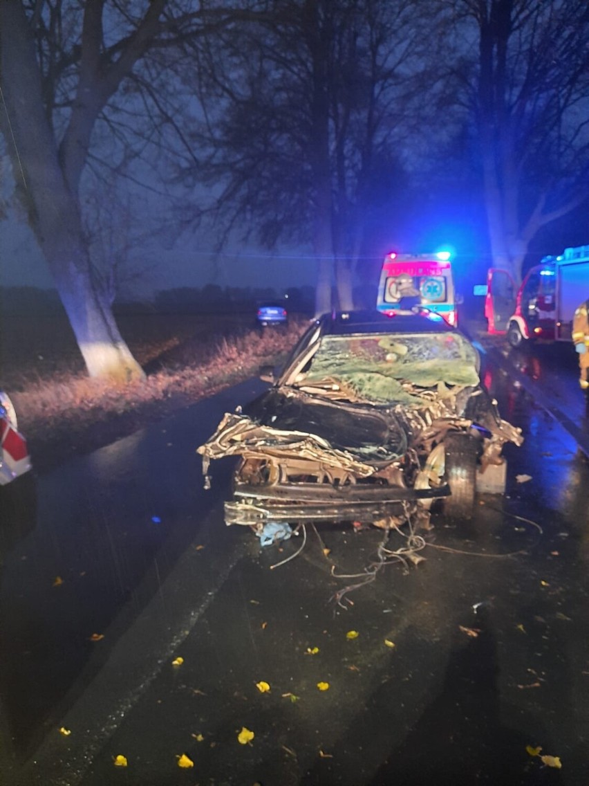 Gmina Gołuchów. Wypadek w Czerminku. Samochód uderzył w drzewo. Poszkodowana została jedna osoba 
