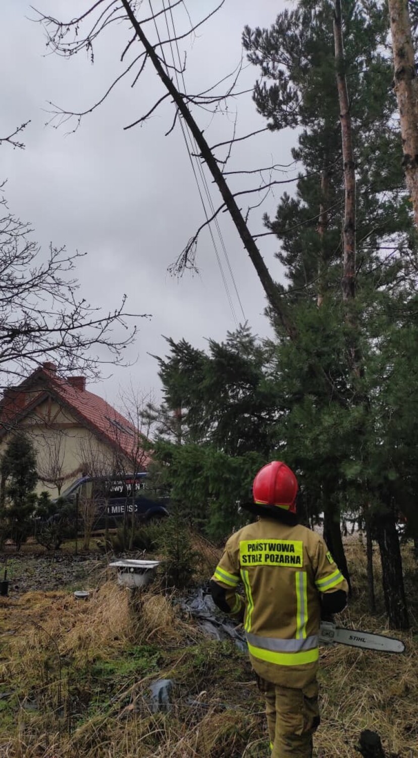 Strażacy usuwali skutki silnego wiatru na terenie regionu konińskiego