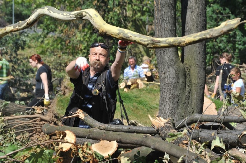 Tak sprzątaliśmy park po huraganie w Legnicy [ZDJĘCIA] 