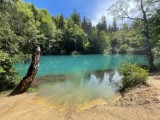 Cuda natury! Kolorowe jeziora jak w Chorwacji. Purpurowe, żółte, lazurowe, zielone... Musisz je koniecznie zobaczyć! 