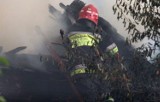 Pożary przy ul. Trześniowskiej i Dzbenin w Lublinie: Ogromne straty