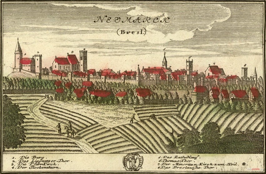 1738, Panorama Środy Śląskiej (miedzioryt kolorowany).