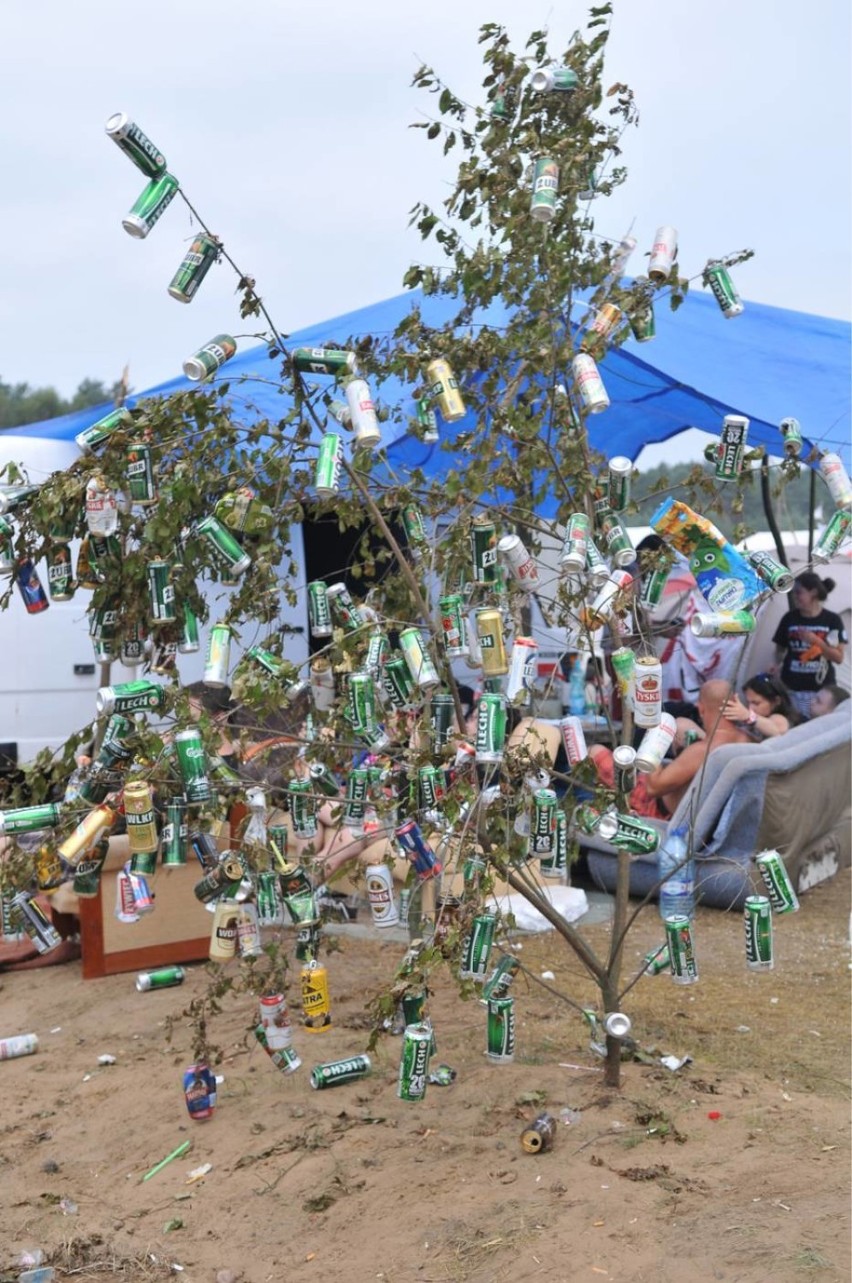 Jak wiadomo, Woodstock to tak naprawdę zjazd pijanych ludzi,...