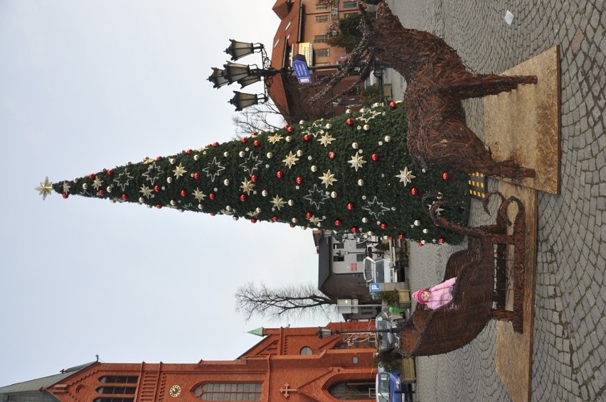 Kartuzy w świątecznej szacie