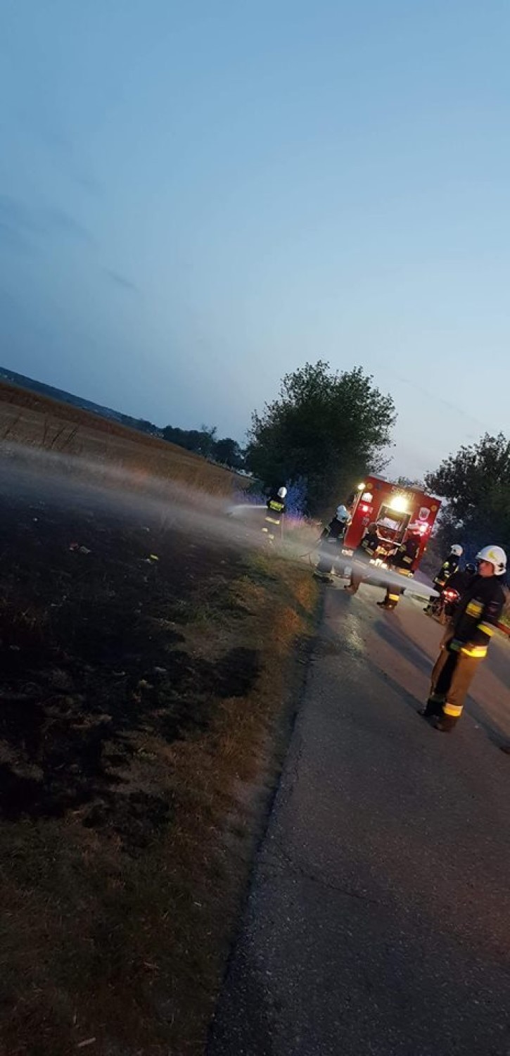 Strażacy gasili pożar traw w Sośnicy [ZDJĘCIA]