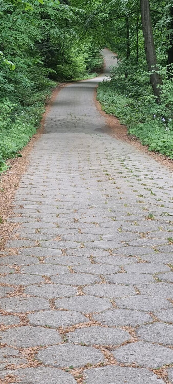 Popularny trakt spacerowy w Iwoniczu-Zdroju zostanie zmodernizowany. Połączy się ze szlakiem do Bełkotki