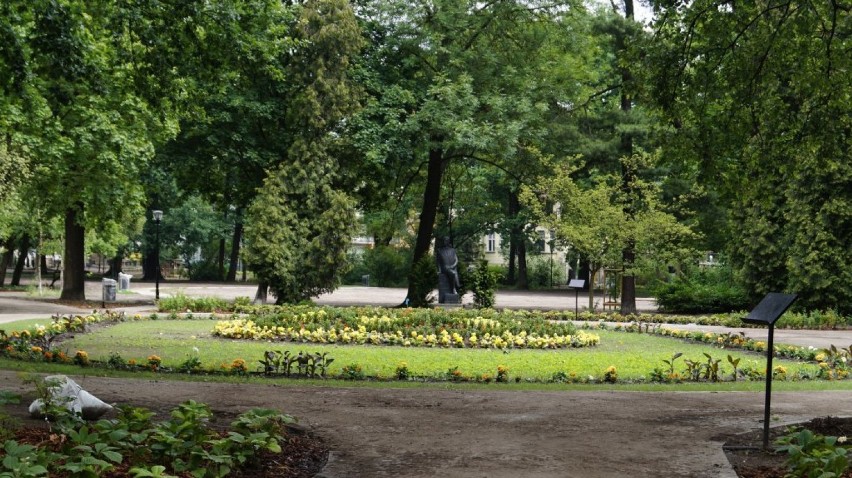 Park Kochanowskiego wciąż w przebudowie. Jak przebiegają prace? [zdjęcia] 