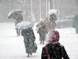 Potężne zamiecie śnieżne w Bułgarii, Rumunii i Mołdawii. Wprowadzono stan nadzwyczajny. Silny wiatr powalił drzewa i linie energetyczne