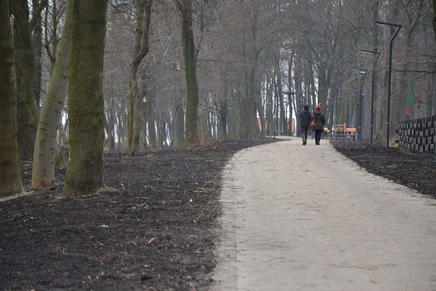 Nowa ścieżka w Parku Miejskim w Malborku wydłuży się do dawnego amfiteatru 