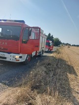 Powiat wolsztyński. Kolejne pożary podczas tegorocznych żniw [FOTO]