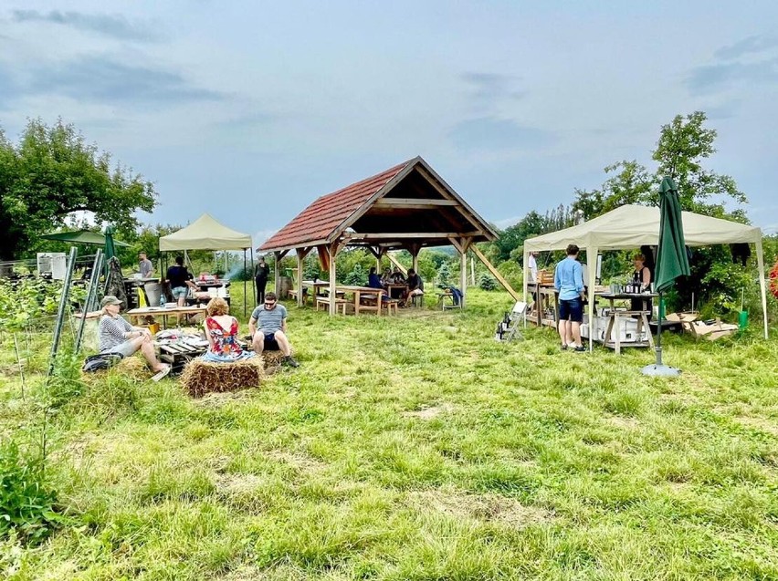 Spędź sobotę w Winnicy Agat na Dolnym Śląsku. Lokalne wino, wyborne dania, wspaniała atmosfera. Przyjedź do Sokołowca na ŻAR WINO!