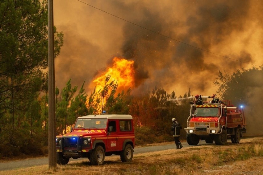 Strażacy z Trzebnicy jadą gasić pożary lasów we Francji