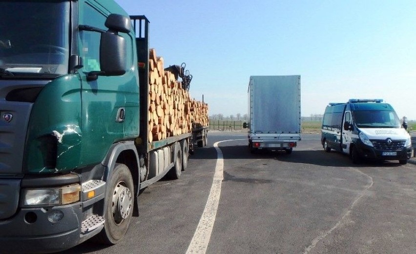 Kierowca ciężarówki przewożącej drewno niezgodnie z obowiązującymi przepisami zatrzymany w Granowie! 