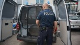 Myszkowska policja ujęła wandala, który wybił szybę w jednym ze sklepów na Sikorskiego