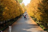 Złota Polska Jesień w legnickim parku, jest bajecznie kolorowo [ZDJĘCIA]