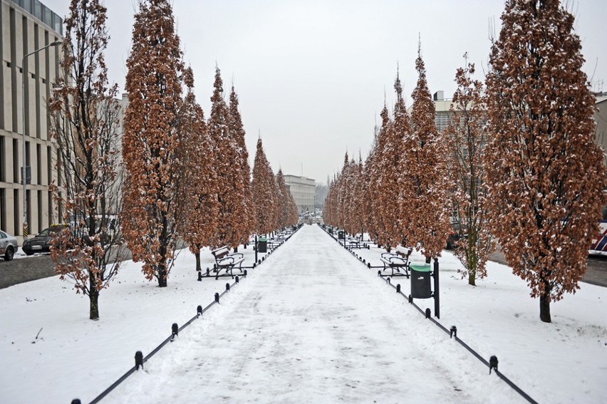 Zima w Poznaniu 2012