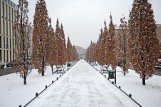 Pogoda Wielkopolska: Idzie zima... spadnie śnieg [ZDJĘCIA]