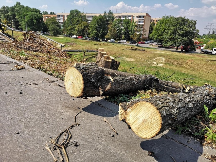 Drzewa wycięto też pod budowę linii tramwajowej do Górki...