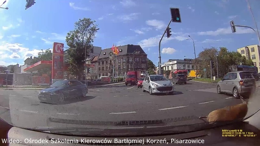 Jeleń w centrum Bielska-Białej wskoczył na maskę samochodu! [WIDEO]