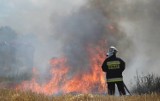 Pożar na poligonie koło Świętoszowa. 20 zastępów straży pożarnej i siły wojskowe walczą z ogniem