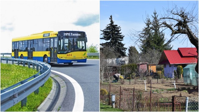 Autobus linii nr 41 będzie jechał aż do przystanku "Przemysłowa-Działki"