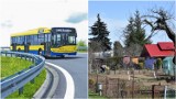 Tarnów. Zmiany w rozkładzie jazdy linii MPK nr 41. Autobus znów wozi pasażerów do ogródków działkowych