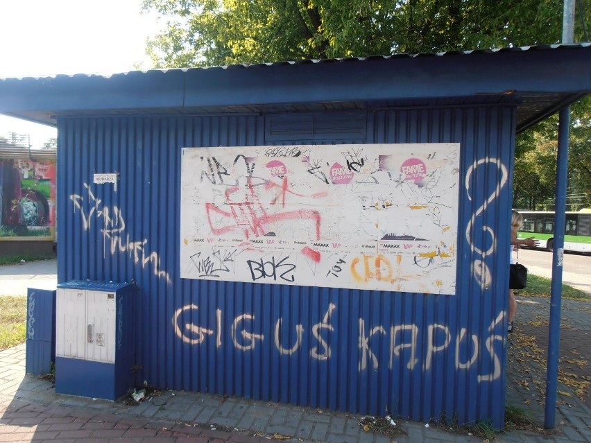 Eksplozja wulgarnych napisów ''ozdobiła'' nasze miasto [zdjęcia]