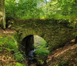 Tajemniczy most w lesie w Piwnicznej-Zdroju. Kamienna przeprawa nad Młodowskim Potokiem powstała jeszcze przed drugą wojną światową