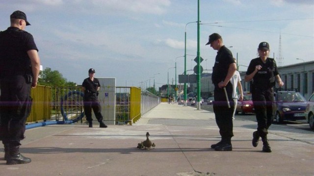 W poniedziałek policjanci zostali wezwani do nietypowej ...