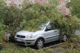 Połamane drzewa i zalane posesje. Głogów po nawałnicy (ZDJĘCIA)